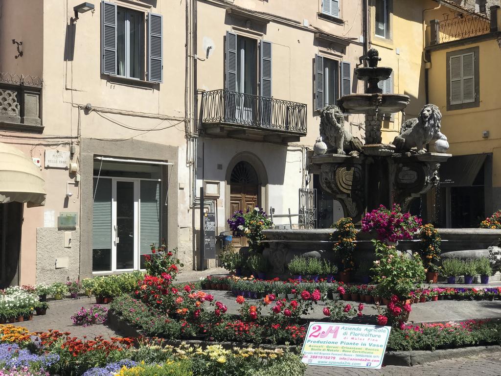 Le Erbe Guest House Viterbo Exteriör bild